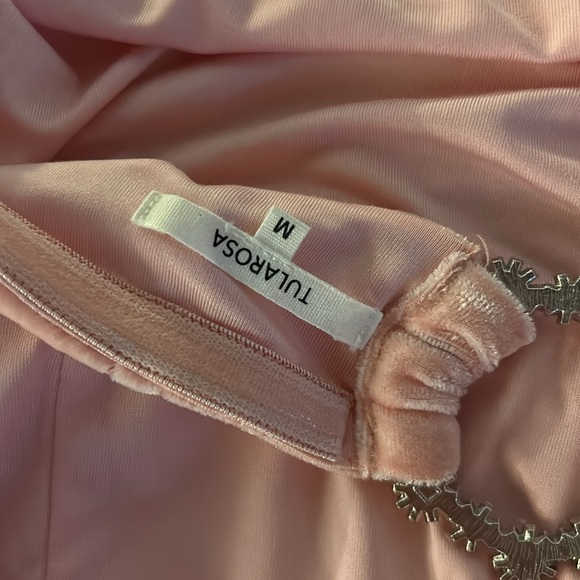 Tularosa Camille Mini Dress in Rose Pink medium - Picture 9 of 11